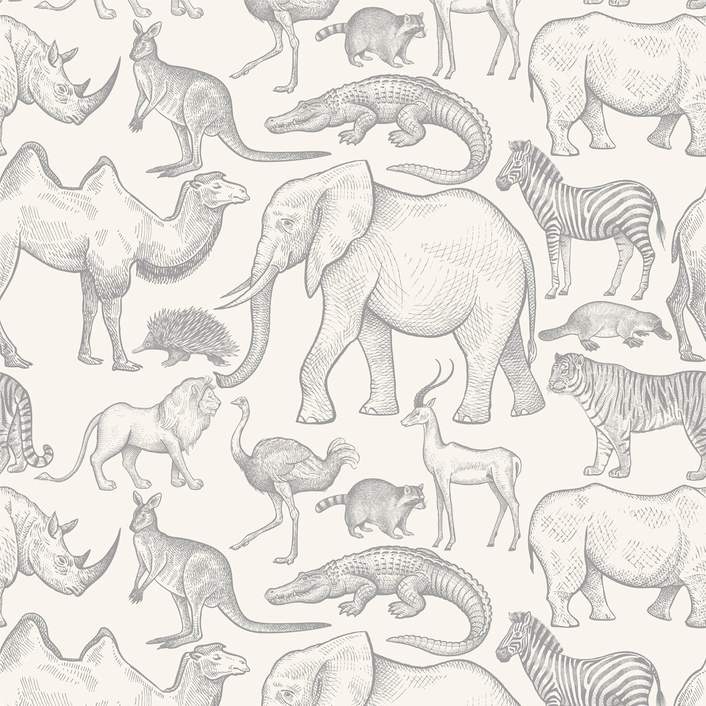 BWINDI WALLPAPER