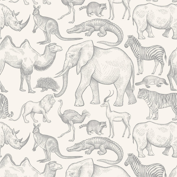 BWINDI WALLPAPER