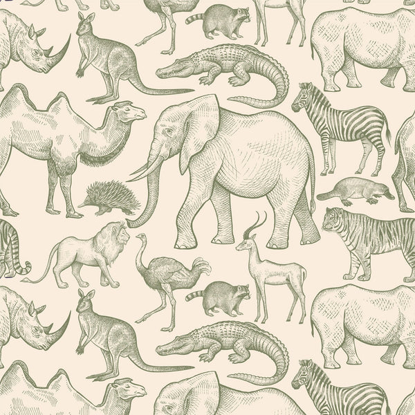 BWINDI WALLPAPER