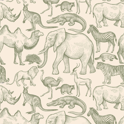 BWINDI WALLPAPER