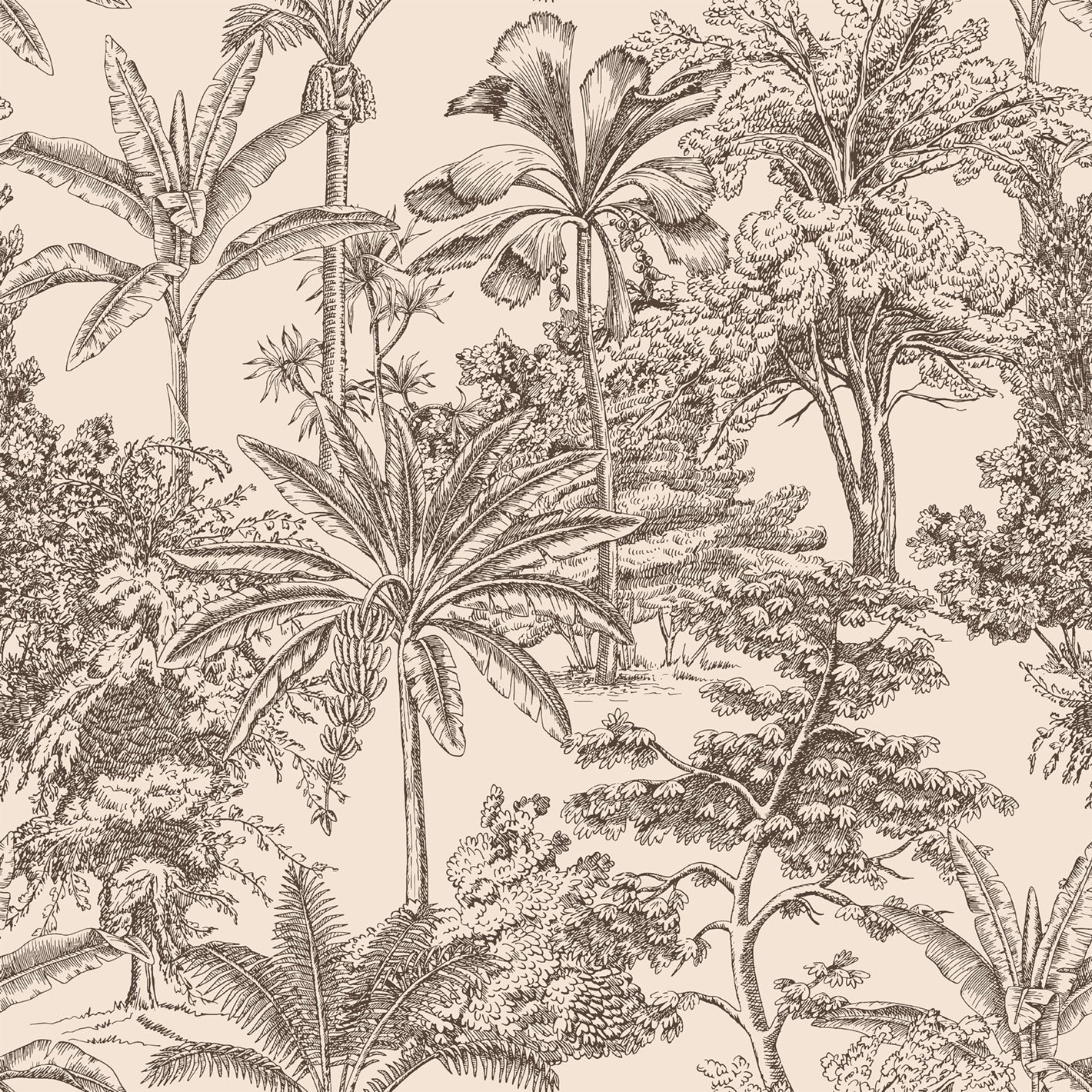ZAMIA WALLPAPER