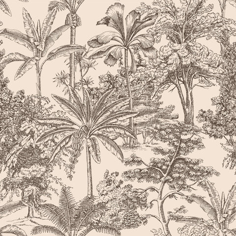 ZAMIA WALLPAPER