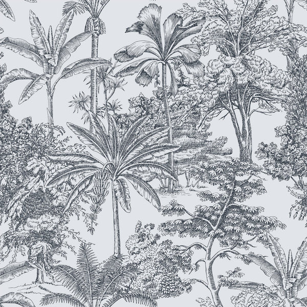 ZAMIA WALLPAPER