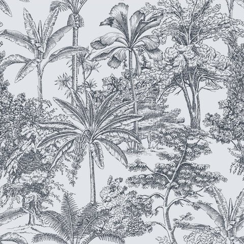 ZAMIA WALLPAPER