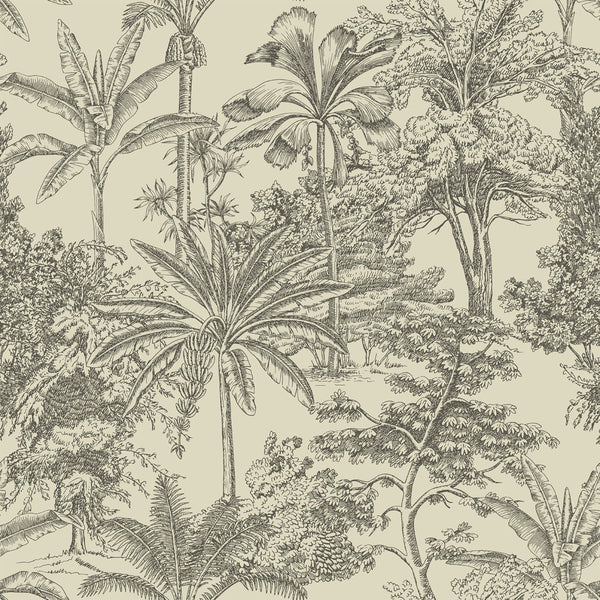 ZAMIA WALLPAPER