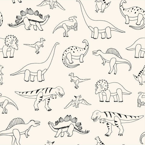 PALEO WALLPAPER