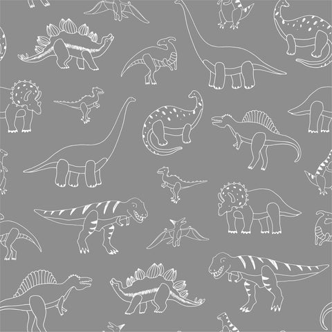 PALEO WALLPAPER