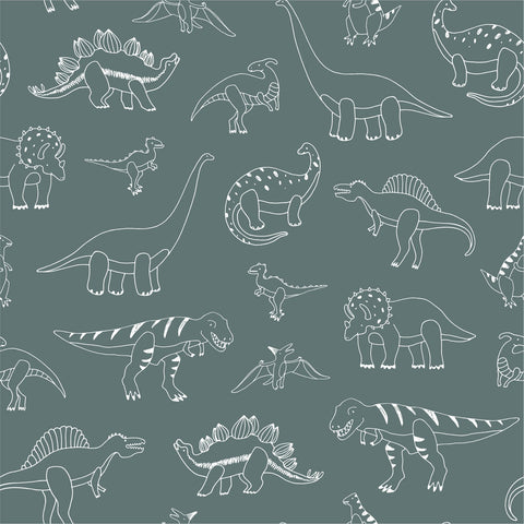 PALEO WALLPAPER