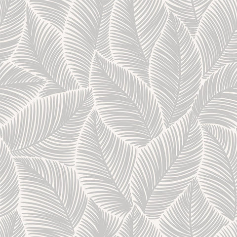 STOMA WALLPAPER