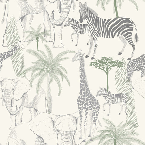 ARUSHA WALLPAPER