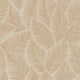 STOMA WALLPAPER