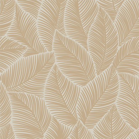 STOMA WALLPAPER
