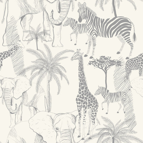 ARUSHA WALLPAPER