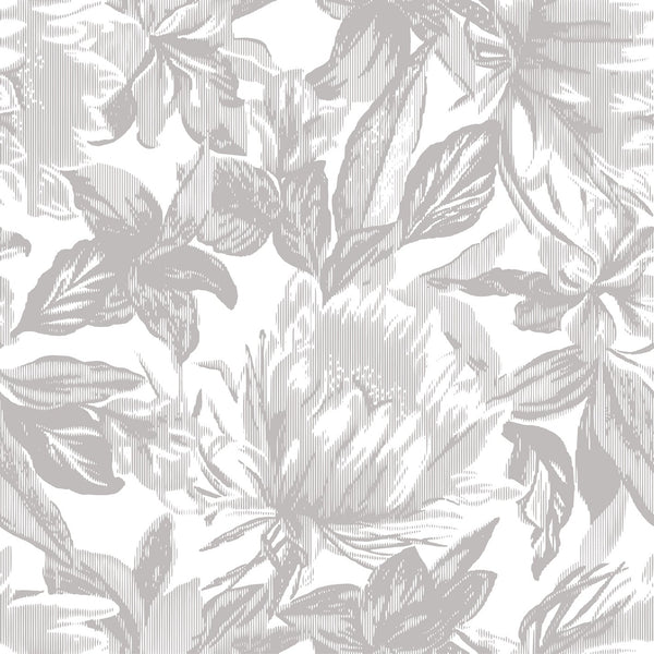 VANDA WALLPAPER