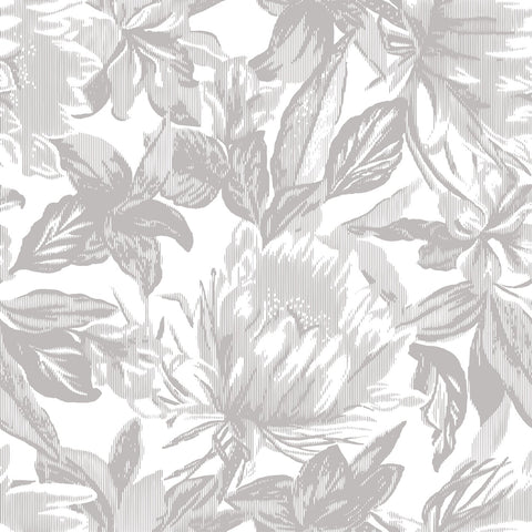 VANDA WALLPAPER