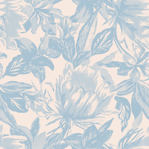 VANDA WALLPAPER