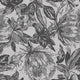 CAMBRIA WALLPAPER