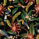ACANDI WALLPAPER