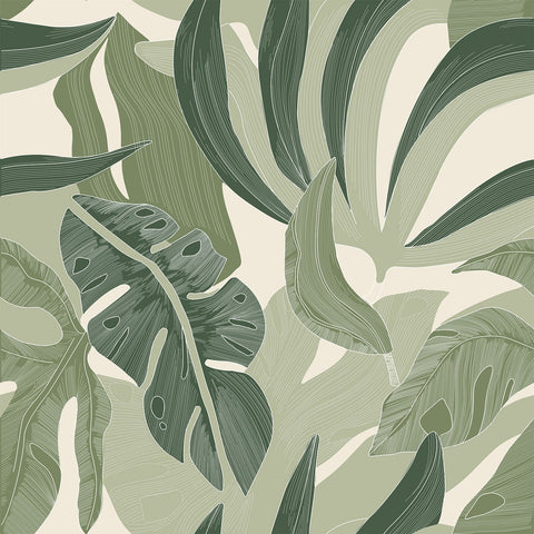 BAHÍA WALLPAPER