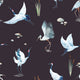 FORTUNE WALLPAPER