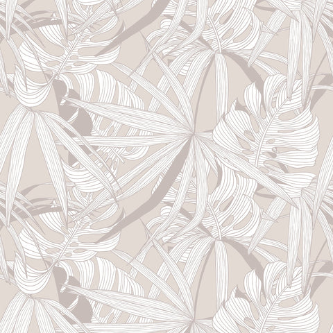 KENTIA WALLPAPER