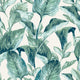 MANGUARÉ WALLPAPER