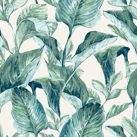 MANGUARÉ WALLPAPER