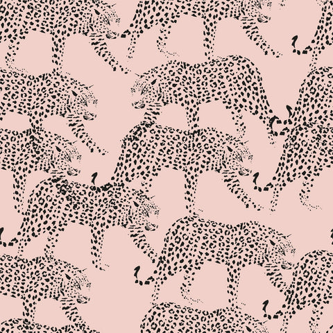 ONCA WALLPAPER