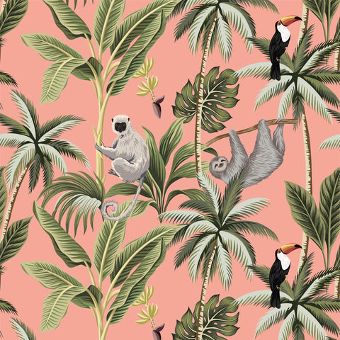 PILOSA WALLPAPER