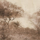TENA WALL MURAL